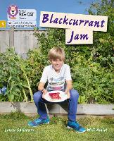 Book Cover for Blackcurrant Jam by Louise Spilsbury