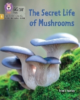 Book Cover for The Secret Life of Mushrooms by Inbali Iserles