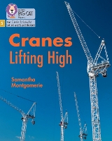 Book Cover for Cranes Lifting High by Samantha Montgomerie