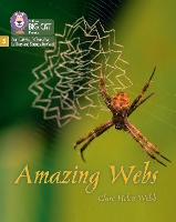 Book Cover for Amazing Webs by Clare Helen Welsh
