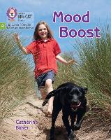 Book Cover for Mood Boost by Catherine Baker