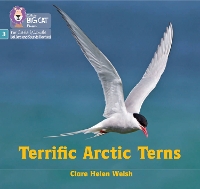 Book Cover for Terrific Arctic Terns by Clare Helen Welsh