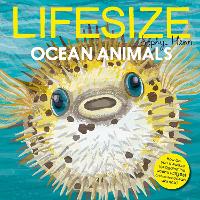 Book Cover for Lifesize Ocean Animals by Sophy Henn