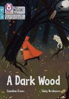 Book Cover for A Dark Wood by Caroline Green