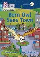 Book Cover for Barn Owl Sees Town by Charlotte Raby