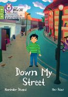 Book Cover for Down My Street by Narinder Dhami