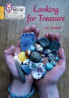 Book Cover for Looking for Treasure by Lara Maiklem