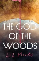 Book Cover for The God of the Woods by Liz Moore