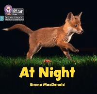 Book Cover for At Night by Emma MacDonald