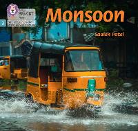 Book Cover for Monsoon by Saaleh Patel