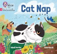 Book Cover for Cat Nap by Inbali Iserles