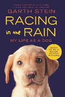 Book Cover for Racing in the Rain by Garth Stein