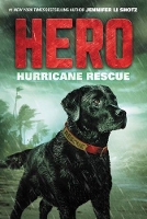 Book Cover for Hero: Hurricane Rescue by Jennifer Li Shotz