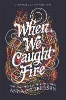 Book Cover for When We Caught Fire by Anna Godbersen