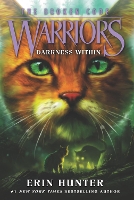 Book Cover for Warriors: The Broken Code #4: Darkness Within by Erin Hunter