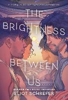 Book Cover for The Brightness Between Us by Eliot Schrefer