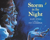 Book Cover for Storm in the Night by Mary Stolz