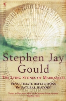 Book Cover for The Lying Stones of Marrakech by Stephen Jay Gould