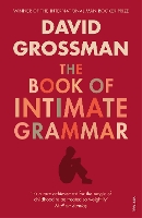 Book Cover for The Book Of Intimate Grammar by David Grossman