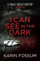 Book Cover for I Can See in the Dark by Karin Fossum