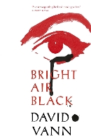 Book Cover for Bright Air Black by David Vann