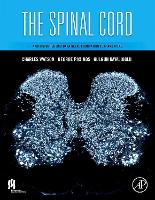 Book Cover for The Spinal Cord by Charles (John Curtin Distinguished Professor of Health Science, Curtin University of Technology, Perth, Australia and N Watson