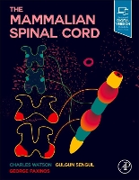 Book Cover for The Mammalian Spinal Cord by Charles (John Curtin Distinguished Professor of Health Science, Curtin University of Technology, Perth, Australia and N Watson