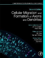 Book Cover for Cellular Migration and Formation of Axons and Dendrites by John (Professor, Department of Psychiatry, University of California, San Francisco, USA) Rubenstein