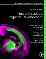 Book Cover for Neural Circuit and Cognitive Development by John (Professor, Department of Psychiatry, University of California, San Francisco, USA) Rubenstein