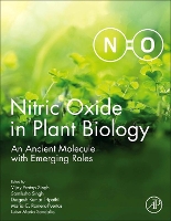 Book Cover for Nitric Oxide in Plant Biology by Vijay Pratap (Assistant Professor, Department of Botany, Chaudhary Mahadeo Prasad College, Allahabad, UP, India) Singh