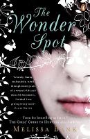 Book Cover for The Wonder Spot by Melissa Bank