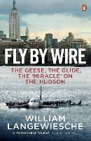 Book Cover for Fly By Wire by William Langewiesche