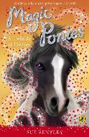 Book Cover for Magic Ponies: A Twinkle of Hooves by Sue Bentley