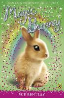 Book Cover for Magic Bunny: Holiday Dreams by Sue Bentley