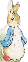 Book Cover for All About Peter by Beatrix Potter