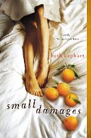 Book Cover for Small Damages by Beth Kephart