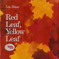 Book Cover for Red Leaf, Yellow Leaf by Lois Ehlert