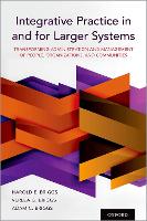 Book Cover for Integrative Practice in and for Larger Systems by Harold E. Briggs, Verlea G. Briggs, Adam C. Briggs