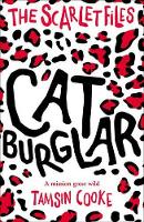 Book Cover for Cat Burglar by Tamsin Cooke