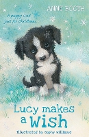 Book Cover for Lucy Makes a Wish by Anne Booth