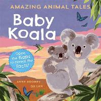 Book Cover for Amazing Animal Tales: Baby Koala by Anne Rooney