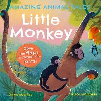 Book Cover for Amazing Animal Tales: Little Monkey by Anne Rooney