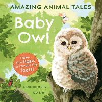 Book Cover for Amazing Animal Tales: Baby Owl by Anne Rooney