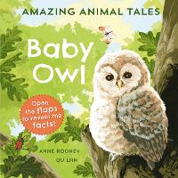 Book Cover for Baby Owl by Anne Rooney