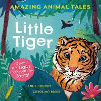 Book Cover for Amazing Animal Tales: Little Tiger by Anne Rooney