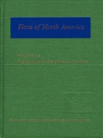 Book Cover for Flora of North America: Volume 26: Magnoliophyta: Liliidae: Liliales and Orchidales by Flora of North America Editorial Committee