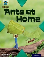 Book Cover for Project X Origins: Lime Book Band, Oxford Level 11: Underground: Ants at Home by Haydn Middleton