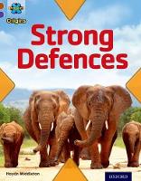Book Cover for Strong Defences by Haydn Middleton