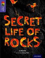 Book Cover for Oxford Reading Tree TreeTops inFact: Level 11: Secret Life of Rocks by Jo Bourne