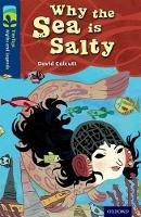 Book Cover for Why the Sea Is Salty by David Calcutt